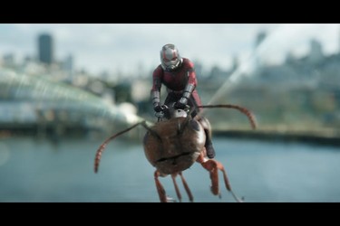 Ant-Man in action in a scene from Ant-Man and The Wasp. (Marvel Studios)