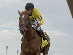 Dixie Moon, riden byJockey Eurico Da Silva, captures the $500,000 Oaks for owner Sean and Dorothy Fitzhenry at Woodbine Racetrack yesterday.  Michael burns photo