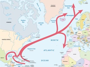 Vector map of the Gulf and North Atlantic stream in the Atlantic Ocean.