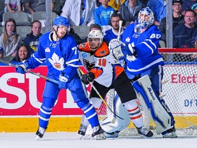 Young Marlies defenceman Timothy Liljegren and goalie Garret Sparks have benefited significantly playing with hardened AHL veterans such as Ben Smith, Colin Greening and Vincent LoVerde.  Christian Bonin/photo