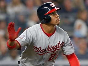Juan Soto of the Washington Nationals. (JIM McISAAC/Getty Images)