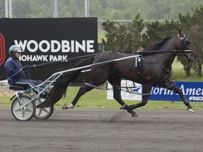 Pepsi North America Cup contender Stay Hungry, under trainer Tony Alagna, trains his final mile on June 13, 2018, in preparation for the $1,000,000 race at Woodbine Mohawk Park on June 16, 2018. (MICHAEL BURNS/Photo)