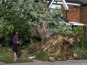 A tree sits uprooted by Humewood Park, near Vaughan Rd. and St. Clair Ave. W.,  in Toronto, Ont. on Wednesday June 13, 2018. (Ernest Doroszuk/Toronto Sun)