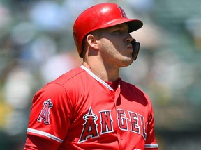 During his current eight-game hit streak, Angels' Mike Trout is batting .696 (16 for 23) with 11 walks. (GETTY IMAGES)