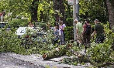 Resident clean up fallen branches after a storm near St. Clair Ave W.  and Avenue Rd. in Toronto, Ont. on Wednesday June 13, 2018. Ernest Doroszuk/Toronto Sun/Postmedia