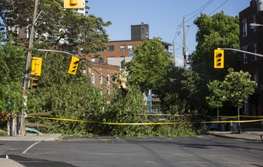 Fallen tree damage of wires, light standard and bus shelter at the corner of Vaughan Rd. and Kenwood Ave. in Toronto, Ont. on Wednesday June 13, 2018. Ernest Doroszuk/Toronto Sun/Postmedia
