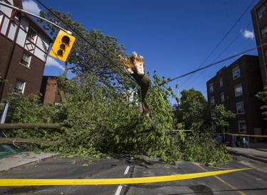 Fallen tree damage of wires, light standard and bus shelter at the corner of Vaughan Rd. and Kenwood Ave. in Toronto, Ont. on Wednesday June 13, 2018. Ernest Doroszuk/Toronto Sun/Postmedia