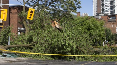 Fallen tree damage of wires, light standard and bus shelter at the corner of Vaughan Rd. and Kenwood Ave. in Toronto, Ont. on Wednesday June 13, 2018. Ernest Doroszuk/Toronto Sun/Postmedia