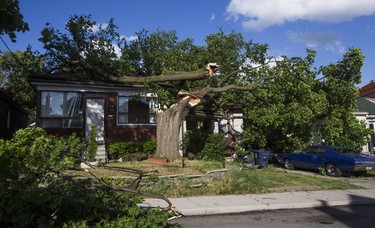 Two homes are left compromised after a fallen tree caused by a storm on Robina Ave. near Oakwood Ave. and St.Clair Ave. W.,  in Toronto, Ont. on Wednesday June 13, 2018. Ernest Doroszuk/Toronto Sun/Postmedia