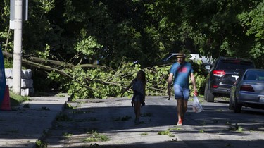 Walking past a fallen tree following a storm on Humewood Gd., near Vaughan Rd. and St. Clair Ave. W.,  in Toronto, Ont. on Wednesday June 13, 2018. Ernest Doroszuk/Toronto Sun/Postmedia