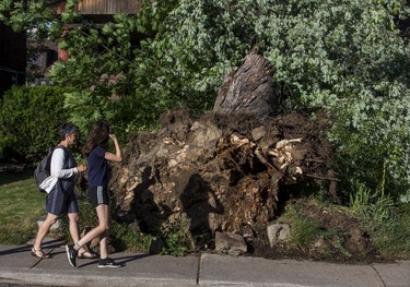 An uprooted tree following a storm that passed by a home by Humewood Park, near Vaughan Rd. and St. Clair Ave. W.,  in Toronto, Ont. on Wednesday June 13, 2018. Ernest Doroszuk/Toronto Sun/Postmedia
