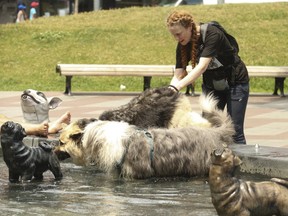 Donna Campbell was out with Bean the Shepherd and its cohorts at Berczy Park dog fountain.  (Jack Boland, Toronto Sun)