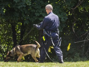 Sgt. Derrick Gaudet, with Major, at the property on Mallory Cres. on Wednesday. (Ernest Doroszuk, Toronto Sun)