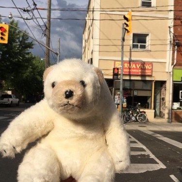 Rhonda Riche, who discovered a stuffed polar bear riding the TTC subway alone, wants to reunite the plush toy with its owner. (Rhonda Riche/Facebook)