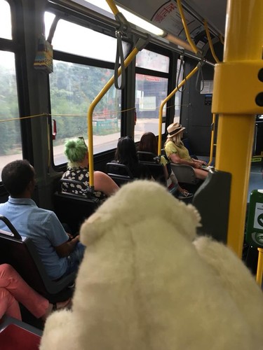 Rhonda Riche, who discovered a stuffed polar bear riding the TTC subway alone, wants to reunite the plush toy with its owner. (Rhonda Riche/Facebook)