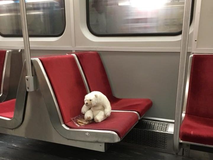 can you bring dogs on ttc