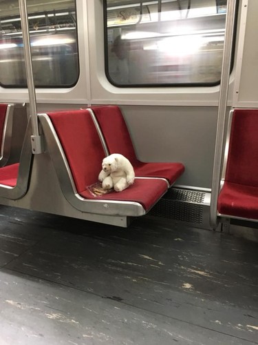 Rhonda Richie, who discovered a stuffed polar bear riding the TTC subway alone, wants to reunite the plush toy with its owner.