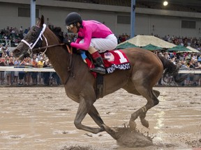 Wonder Gadot, under jockey John Velazquez, captures the second leg of the Canadian Triple Crown for owner Gary Barber and trainer Mark Casse on July 24, 2018 in Fort Erie. (MICHAEL BURNS/Photo)