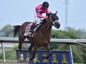 It has already been quite a year for her, but Wonder Gadot is favoured to add her name to the list of winners of the second leg 
of the Canadian triple crown, which goes on Tuesday evening at Fort Erie Racetrack. (The Canadian Press)