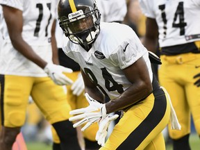Pittsburgh Steelers wide receiver Antonio Brown is our top-rated pass catcher in fantasy football. (AP PHOTO)