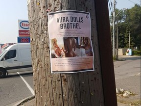 A poster for a sex doll brothel opening on a street pole in the Sheppard Ave. and Yonge St. area.