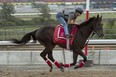 Neepawa faltered to be 10th in the Queen’s Plate and only has one victory in 10 starts.  (Michael Burns photo)