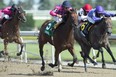 Tiz Breathtaking captured the $125,000 Shady Well Stakes for owner Windhaven Farms Inc. yesterday. (Michael Burns photo)