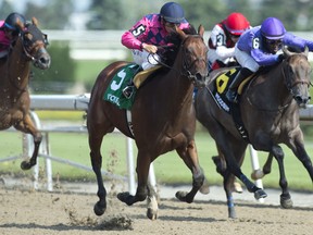 Tiz Breathtaking captured the $125,000 Shady Well Stakes for owner Windhaven Farms Inc. yesterday. (Michael Burns photo)