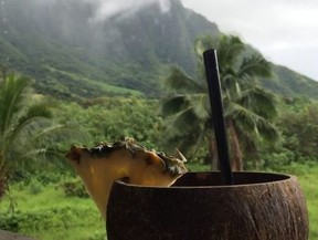 A creamy fruit smoothie served during a farm to table lunch at the Kualoa Ranch. ROBIN ROBINSON/POSTMEDIA NETWORK