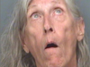 Mary Ellen Stewart, 81, of St. Petersburg was busted in a public park for sitting on a bench topless drinking her box of wine. ST. PETERSBURG POLICE