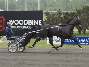 Stay Hungry was disqualified during Thursday's Little Brown Jug, (MICHAEL BURNS PHOTO)