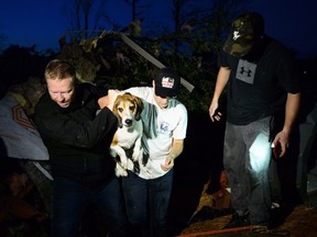 A beagle named Charlie is rescued after being found under a pile of debris after a tornado touched down in Dunrobin, Ont., west of Ottawa, on Friday, Sept. 21, 2018.