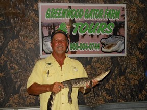 Greenwood Gator Farm owner Tim Domangue shows off a tiny version of the swamp beasts he raises during a tour of the Gibson, La., facility. (DAVE POLLARD/Postmedia Network)