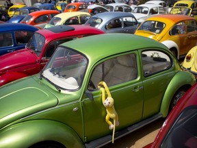 In this April 21, 2017, file photo Volkswagen Beetles displayed during the annual gathering of the "Beetle club" in Yakum, central Israel.