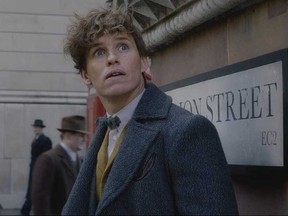 fantastic beasts