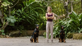 Perdita Weeks stars as Juliet Higgins, a disavowed MI6 agent whose second job is to keep Magnum in line, with the help of her two Dobermans. (CBS)