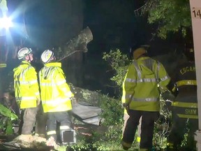 A child died when a tree fell onto a mobile home in Florida late Tuesday as Tropical Storm Gordon made landfall just west of the Alabama-Mississippi border.