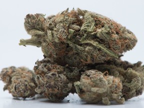 Medical marijuana is shown in Toronto, Nov. 5, 2017. (The Canadian Press)