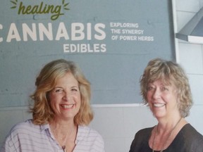 Healing Cannabis Edibles - Exploring The Synergy of Power Herbs, by writer Ellen Novack and culinary herbalist and cookbook author Pat Crocker