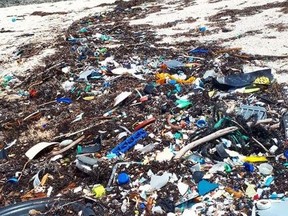 Plastic and other garbage on a beach in the Bahamas. (Bahamas Plastic Movement/Instagram)