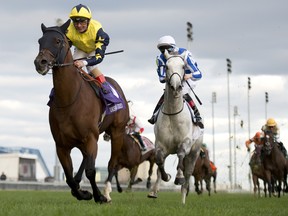 Jockey Andrea Atzeni leads Desert Encounter to a win in the Pattison Canadian International at Woodbine yesterday.   (Michael Burns/photo)