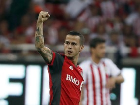Toronto FC’s Sebastian Giovinco got the nod to join the Italian national squad against its upcoming match against Ukraine. TFC head coach Greg Vanney wondered why, given Giovinco’s level of talent, it took the Azzurri so long to decide on Giovinco. (AP)