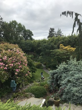 Visitors to the Abkhazi Garden, located in a residential neighbourhood in Victoria, can wander the property that has a large variety of elevations and sight lines that were created by an exiled Russian prince and his wife. Kim Pemberton photo