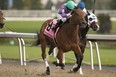 Silent Sonnet, under jockey David Moran, captured the $125,000 Ontario Fashion Stakes at Woodbine Racetrack for owner Ivan Dalos and trainer Nick Gonzalez. (Michael Burns photo)