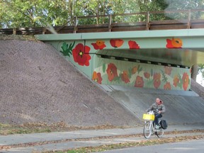 Cyclist travels beneath The Poppy Bridge, a highway viaduct near Welberg that children painted large poppies on in 2017, dedicated to civilians and soldiers killed in the village during the Second World War.  Ian Robertson photo