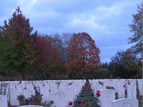 Roses grow in Groesbeek Canadian Military War Cemetery, The
Netherlands, among 1,619 headstones for Canadian soldiers killed
during the Second World War. (Photo by Ian Robertson)