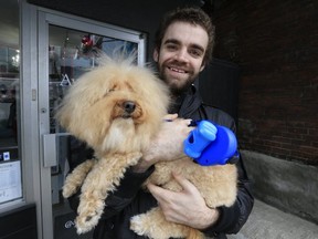 Vinnie and his proud dad Sebastian Fazio after his makeover at Dogfather & Co. by Laura Webster on Thursday November 29, 2018. (Stan Behal/Toronto Sun/Postmedia Network)