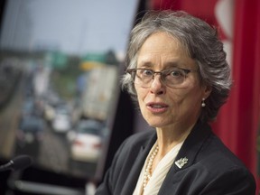 Environmental Commissioner of Ontario Dianne Saxe. (THE CANADIAN PRESS/Frank Gunn)