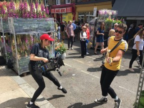 You can come across just about anything in Columbia Road Flower Market on a Sunday, from violets to videos. (Lance Hornby/Toronto Sun)