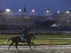 An exercise rider rides King of Speed during morning workouts before the Breeders' Cup horse races at Churchill Downs, Nov. 1, 2018, in Louisville, Ky. King Of Speed is entered in the Juvenile Turf. (DARRON CUMMINGS/AP)